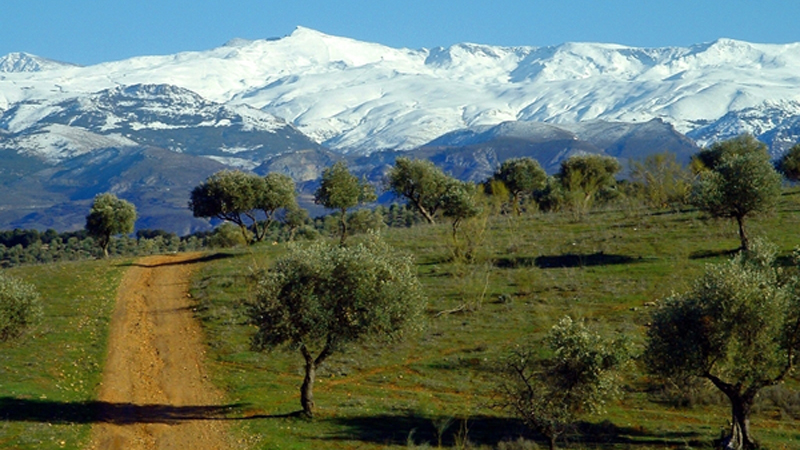 about nevada, information on nevada, nevada, nevada activities, nevada climate, nevada culture, nevada economy, nevada offshore financial services, nevada geography, nevada history